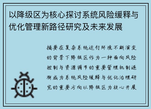 以降级区为核心探讨系统风险缓释与优化管理新路径研究及未来发展